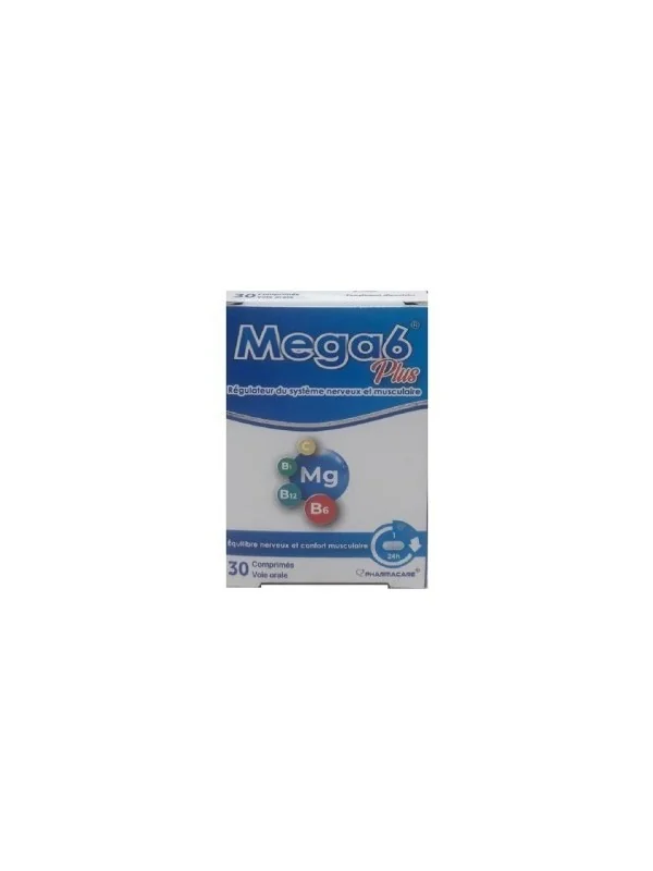PHARMACARE MEGA 6 PLUS 30 COMPRIMES